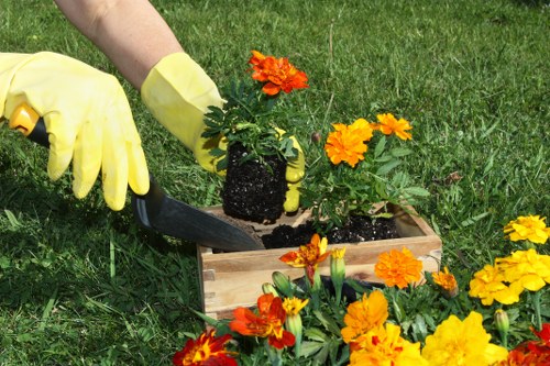 Supervisor completing a risk assessment form before hedge cutting