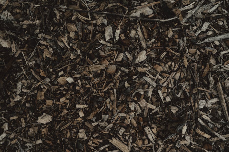 Close-up view of a pile of dark brown, shredded wood mulch composed of broken branches, bark, and wood chips, used as garden mulch or weed control beneath a garden bed. The mulch appears damp with a c