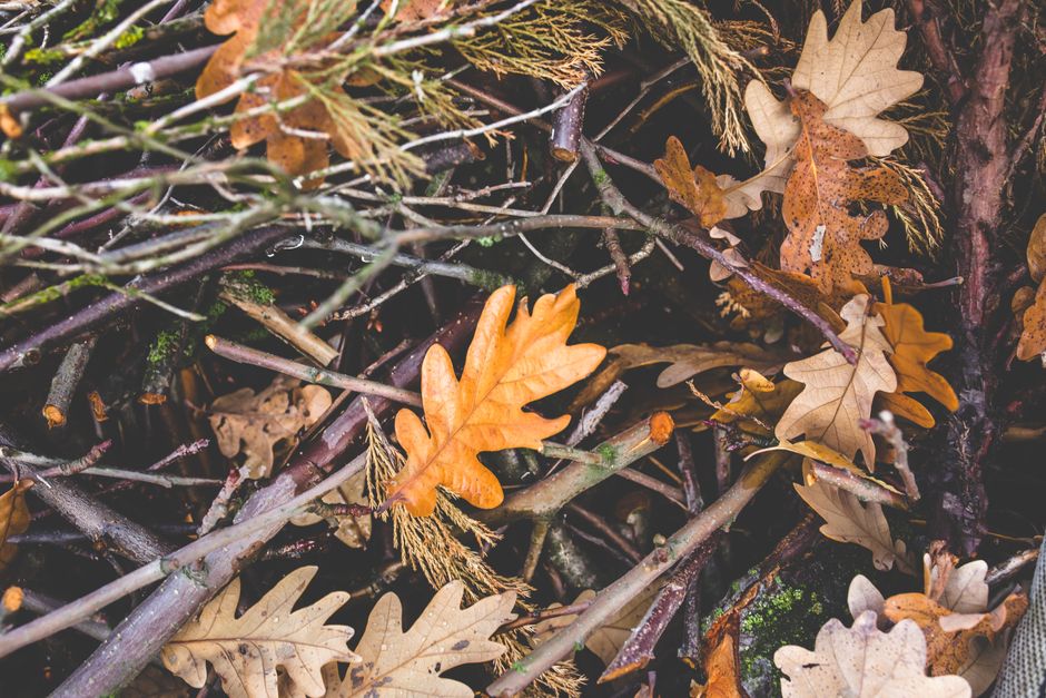 Close-up view of a pile of dark brown, shredded wood mulch composed of broken branches, bark, and wood chips, used as garden mulch or weed control beneath a garden bed. The mulch appears damp with a c